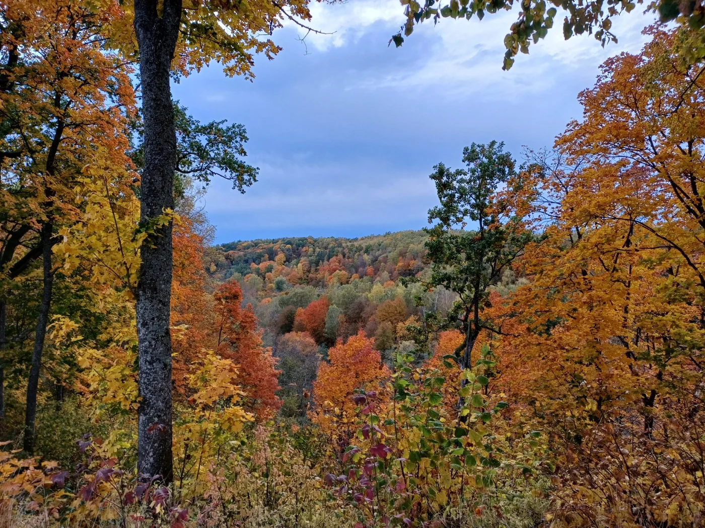 Rudens miškas ir Dūkštų slėnis