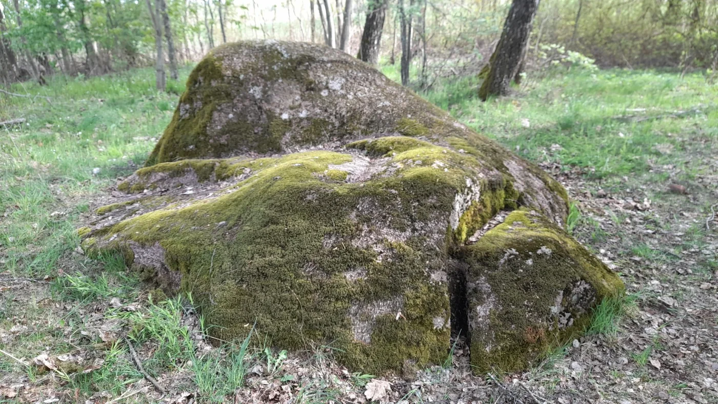 Akmuo gamtoje