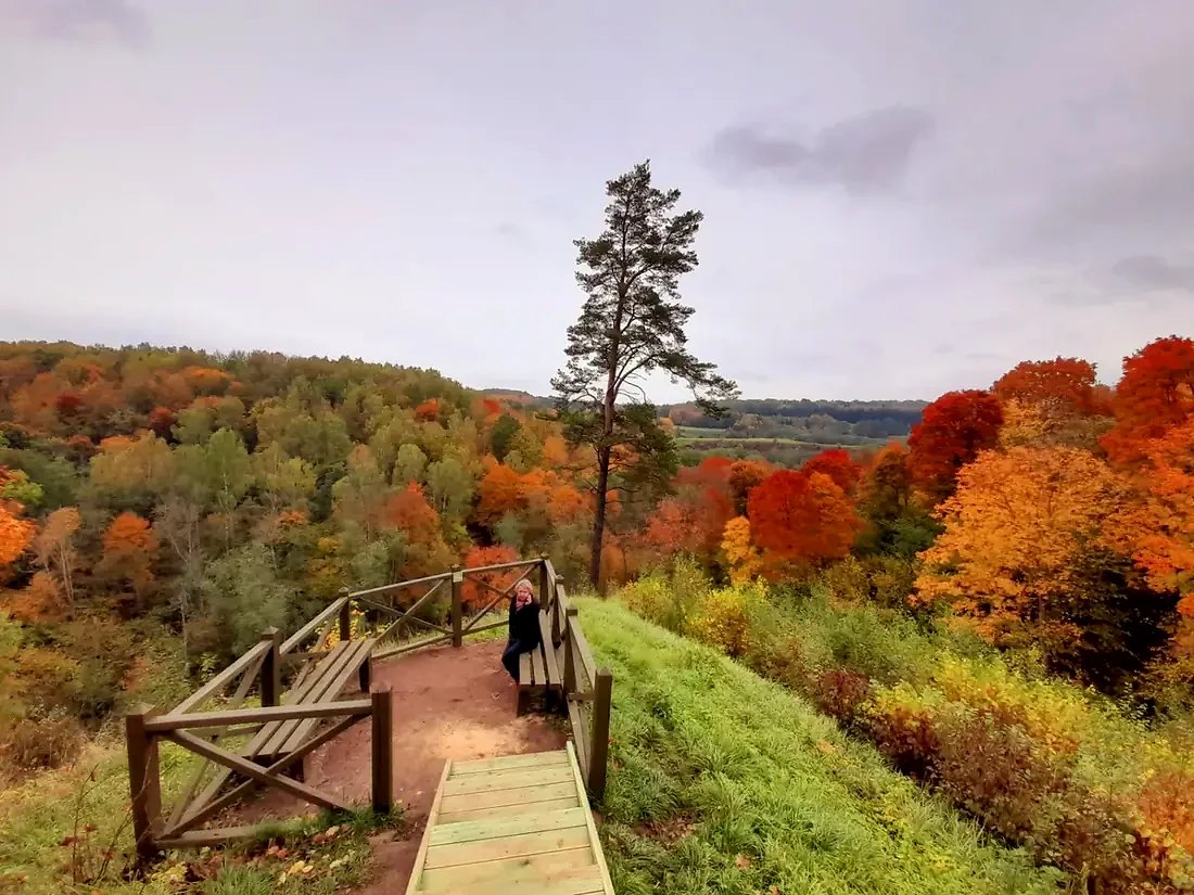 Dūkštos kraštovaizdžio panorama
