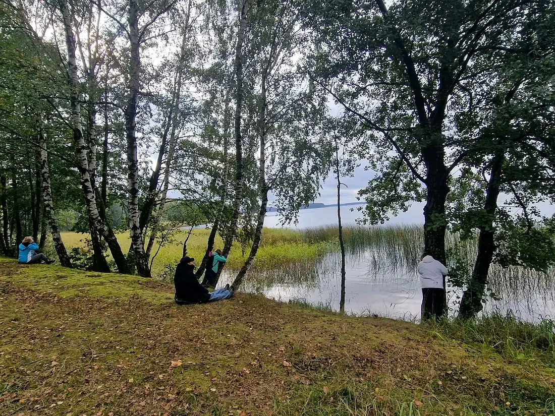 Rami upės pakrantė miške